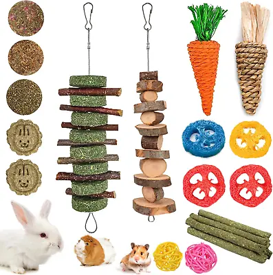 20 PCS Bunny Chew Toys For Teeth Natural Rabbit Toys Apple Wood Grass Timothy S • $14.34