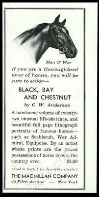 1939 Man-O-War Horse Portrait Black Bay And Chestnut Book Release Print Ad • $29.97