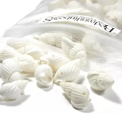 10 White 3/4 - 1 Inch Spiral Sea Shell Dangle Charm Seashell Beads With Hole • $1.99