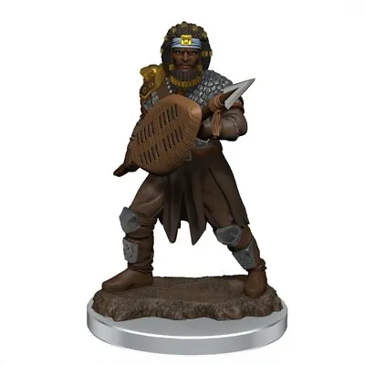 $20.95 • Buy Dungeons & Dragons Premium Male Human Fighter Spear Pre-Painted Figure