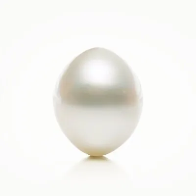 $49 • Buy Undrilled 12.3×14.7mm White Australian South Sea Cultured Loose Pearl,15.0Carat