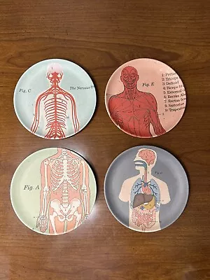 Life Of Jay Set Of 4 Anatomical Side MINI Plates 5” Round Bamboo Fibre Vegan • $19