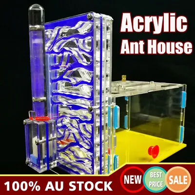 $32.89 • Buy Ant Nest Ant Habitat Science Kit Acrylic Farm Insect Villa Pet Mania House Gift