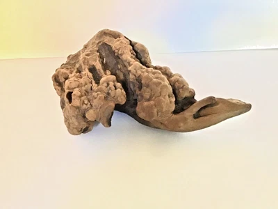 $9.99 • Buy Aquatic Mopani Wood For Aquarium  11” Long
