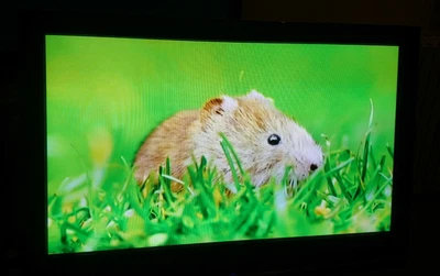 £65 • Buy Samsung 42 Plasma TV, Black,PS42C96HDX/XEU Used
