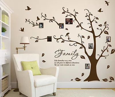 Family Tree Sticker Photo Frame Birds Wall Sticker Art DIY Wall Decal Home Decor • £12.99