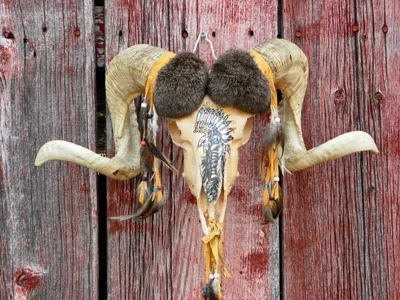 $200 • Buy Ram Head Sheep Skull Horns Taxidermy Bighorn Native American Rams Deer Cabin