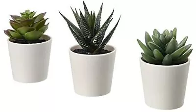 IKEA 203.953.31 FEJKA Mini Artificial Succulent Desk Plants In Pots 6 Centimetr • £8.55