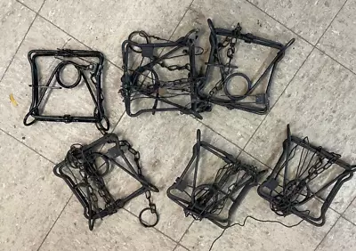 Six Used 110 Bodygrip Traps Trapping Taxidermy Muskrat Mink 6used1103292024 • $39.95