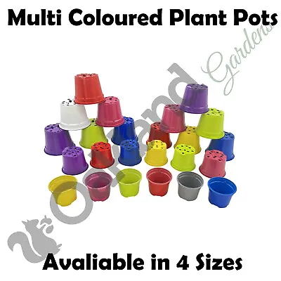 Multi Coloured Plastic Plant Pots Nursery Pot Multicoloured 9cm 10.5cm 13cm 14cm • £5.95