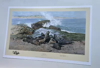 Elephant Seals David Shepherd Limited Edition Print • £55