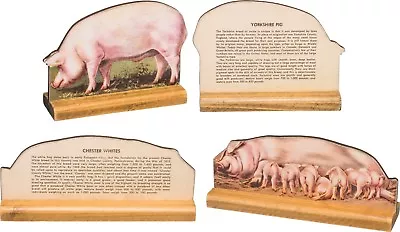 2 Wood Stand-Up Barnyard Farm Animal Pig~Die Cut~Retro/Vintage~Yorkshire/Chester • $12.99