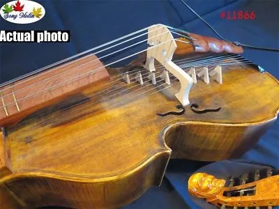 SONG Maestro (6x8) Strings 19 1/4 Viola Da Gamba Baryton With 7 Bridges #11866 • $1999