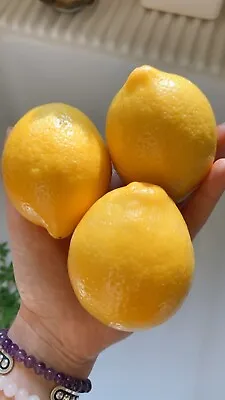 10 Meyer Lemon 🍋 Seeds Organic NonGmo Pesticide Free Citrus Garden Fruit Tree • $5.99