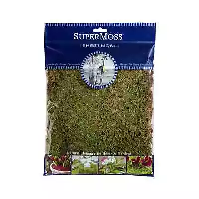 SuperMoss® Dried Sheet Moss Light Green 11  X 10  Package Size • $12.98