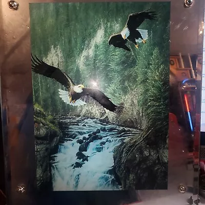 VTG Framed Moving Picture Mirror Eagles Flying Waterfall Mountain Nature Sounds • $99