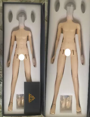 1/3 Doll Family-H 68cm Ver.II 3-Parts Boy Body W/ Jointed Hands (VOLKS Normal) • $440