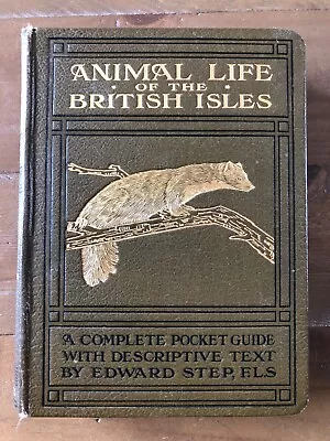 Animal Life Of The British Isles. Edward Step F.L.S - Warne & Co 1927 • £15