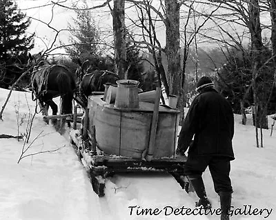 Vat Of Maple Sap On Sleigh North BridgewaterVermont -1940- Vintage Photo Print • $7.50