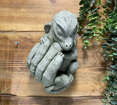 Stone Garden Baby Dragon In Hand Wall Plaque Hanging Concrete Ornament • £26.20