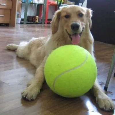 £7.99 • Buy Big Giant Pet Dog Puppy Tennis Ball Thrower Chucker Launcher Play Toy 