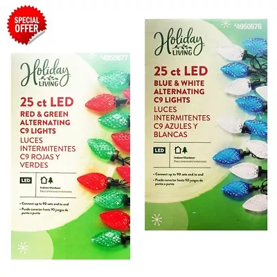 2 Pack Of Holiday Living 25-Count 12-ft LED Plug-In Christmas Lights • $42.86