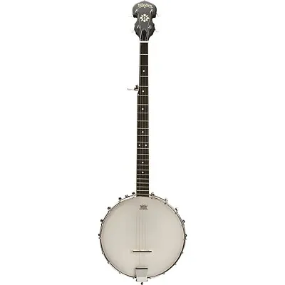 Washburn 5-string Open Back Banjo • $299