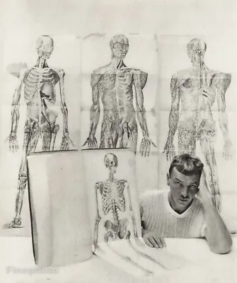 1947 Vintage GEORGE PLATT LYNES Artist JARED FRENCH Anatomy Body Photo Art 11X14 • $189.16