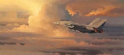 William PHILLIPS Into The Throne Room Of God F-14 Tomcat Plane LE Edition Canvas • $450