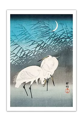 OHARA KOSON Egrets And Reeds In Moonlight JAPANESE ART (1926) Print/ Poster • $11.95