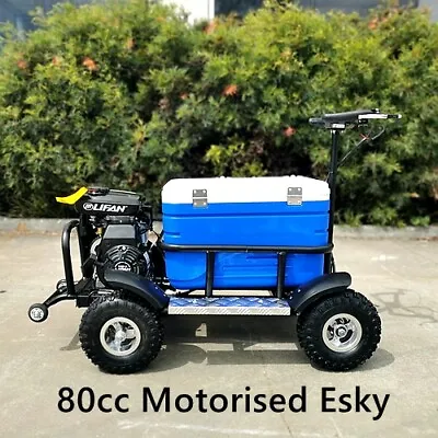 80cc Motorised Esky Cooler Scooter 4 Wheel Motorbike Atv Quad Icebox Esky Lifan • $949