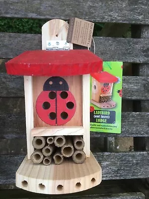 Ladybird (& Insect) Lodge House Brand New • £11