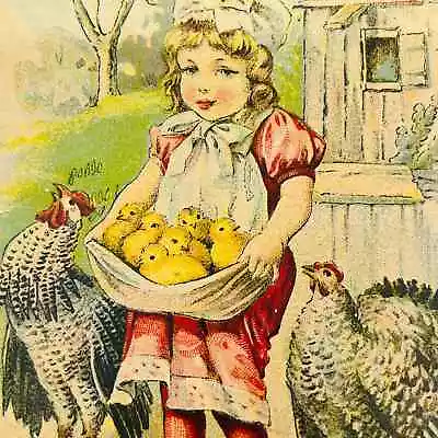 1910s Easter Post Card Rooster Chicken Girl W/ Apron Full Of Baby Chicks PA5 • $13.50