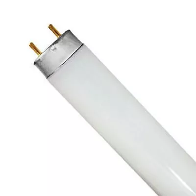 Eiko F15T8/D 15W Daylight Bi-Pin T8 Fluorescent Lamp Light Bulb 15832 • $6.89