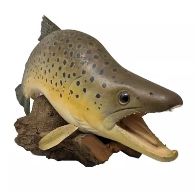 Nice Brown Trout Replica Mount! Taxidermy Fly Fishing Art Hand-made Trophy • $115