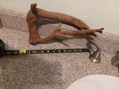 Manzanita Driftwood Branch Reptile Bird Perch #299 • $29.60