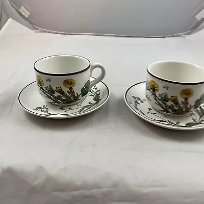 Villeroy & Boch Botanica  Cup & Saucer Set Of 2 • $26