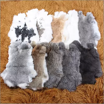 5pcs Natural Real Rabbit Skin Pelt Fur Hides Soft Leather Tanned Craft Dummy DIY • $27.54