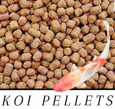 $53.99 • Buy BEST Koi Chiclid Goldfish Fish Food Floating Pond Pellets Medium Or Lrg *CHOOSE*
