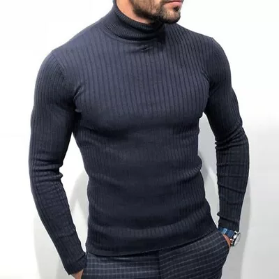 Tops Mens Long Sleeve Knitwear Office Polyester Solid Color Turtleneck Sweater • $19.62