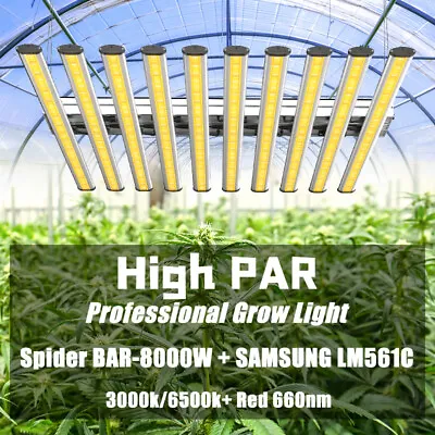 Spider LED 800W~320W Grow Lights Plant Lamp For Indoor Kits 6x6ft High Coverage • $579.33