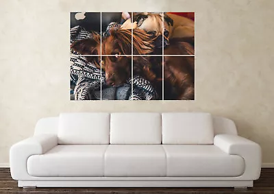 £6.49 • Buy Large Spaniel & Pug Dog Crufts Pet Food Cute Puppy Wall Poster Art Picture Print