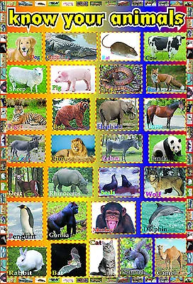 ANIMALS A2 Laminated Educational Kids Toddler Wildlife Wall Chart Print Poster • £4.99