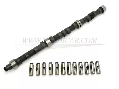 Volvo 430013 Camshaft Type C Incl. Pestles 164 B30A B30E B30F • $371.31