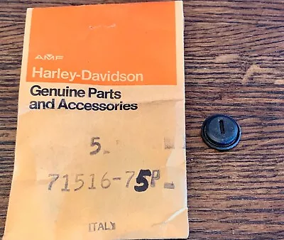 Harley Aermacchi SS SX 175 250 Ignition Switch Retaining Nut Seal 71516-75P • $14.99