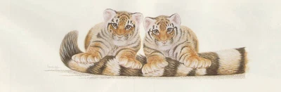 £78.26 • Buy Print By Artist Warwick Higgs - Stripes- Product Code: FAR 703