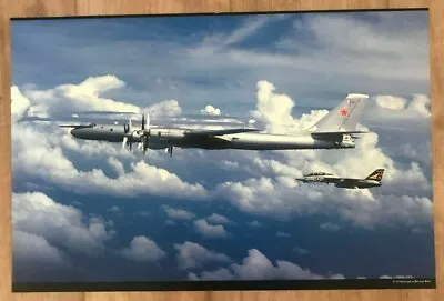 F-14 Intercepts A Russian Bear 20  X 13  Photo Print • $19.99