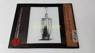 MTA Glass Magic Lantern Slide Photo  COMPLETED MASON JAR TRAPS • $13.96