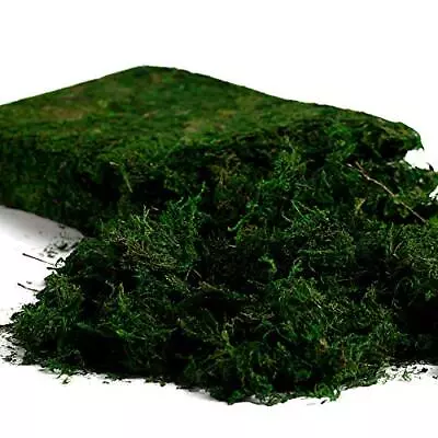 Artificial Moss For Plant Fairy Garden Lawn Crafts Wedding Decor Fresh Green Mo • $20.18