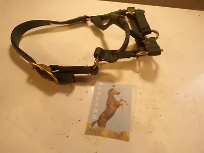Mustang 8535p Pony Or Suckling Nylon Halter Hunter Green Brand New With Tags • $0.99